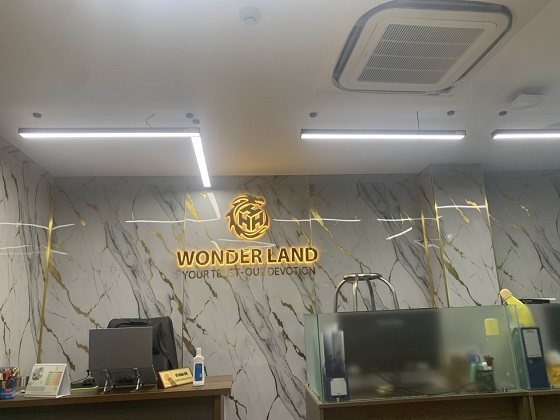 Cải tạo văn phòng kế Toán CTY BĐS Wonder Land